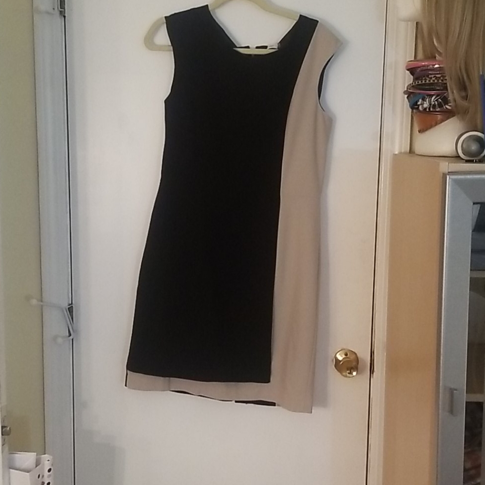Calvin Klein dress.  223